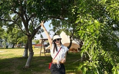 无人区一码二码高高